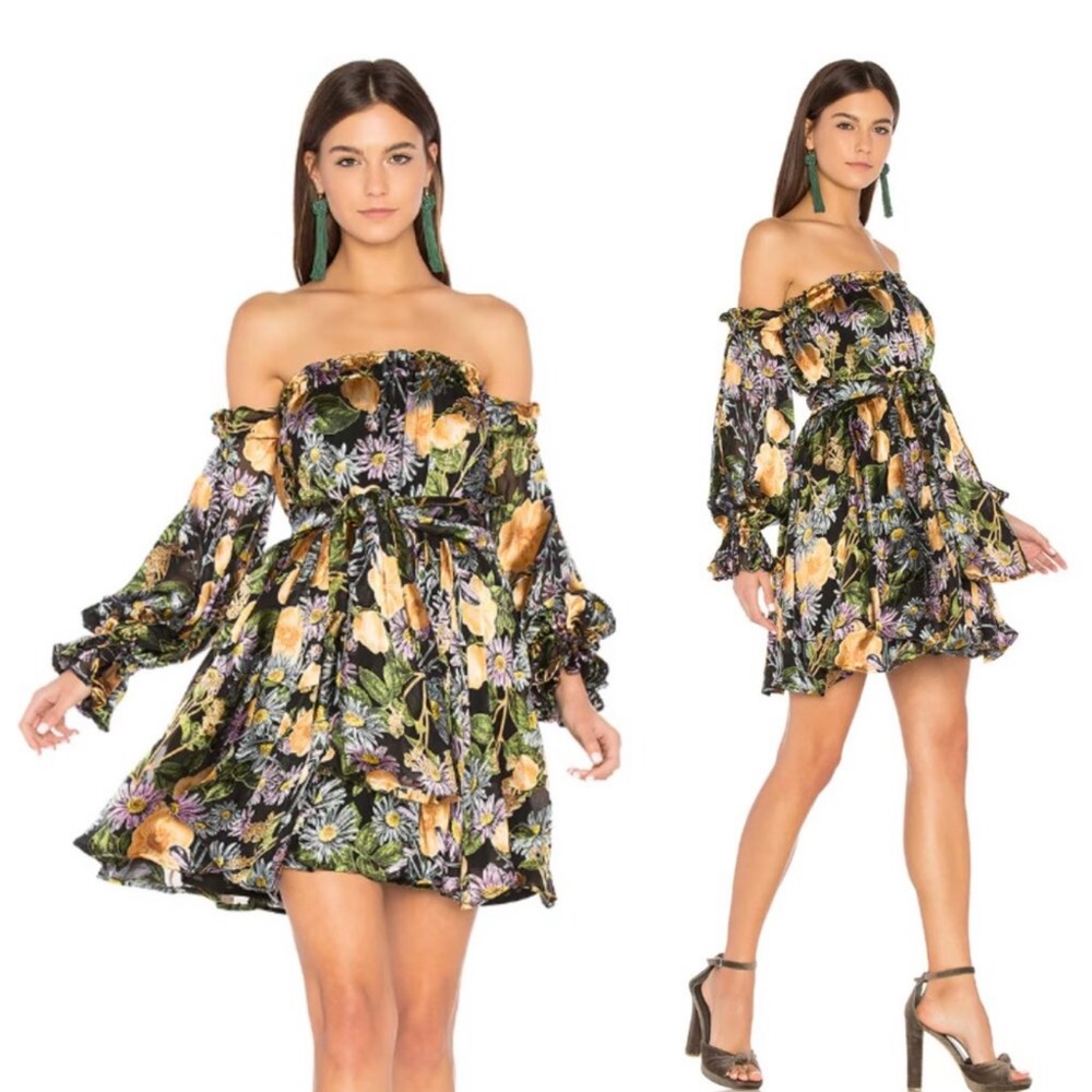 For love and lemons Luciana dress